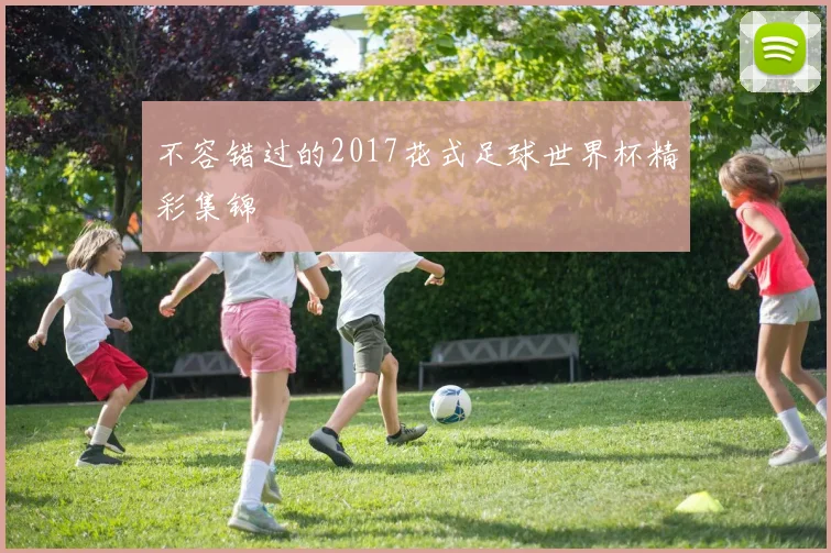 不容错过的2017花式足球世界杯精彩集锦
