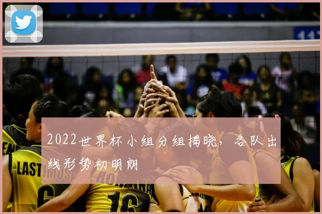 2022世界杯小组分组揭晓，各队出线形势初明朗