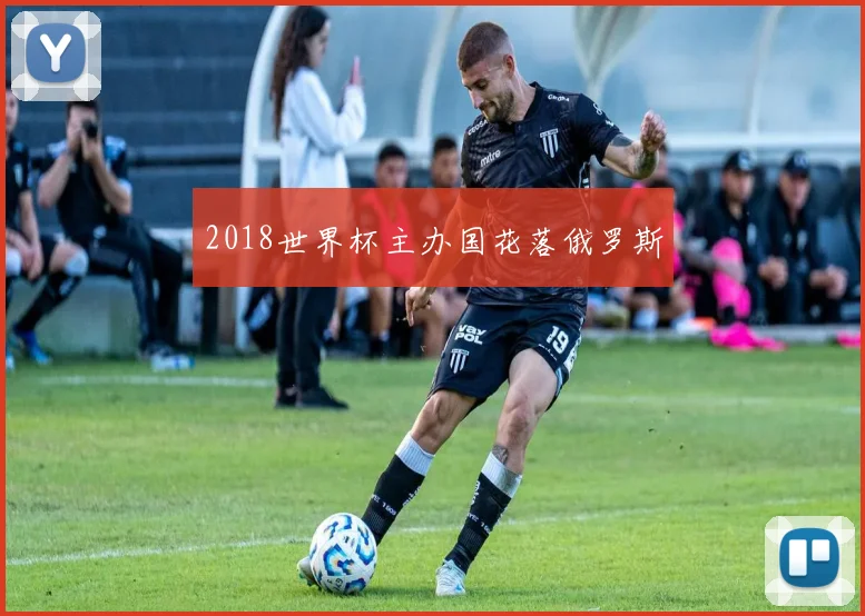 2018世界杯主办国花落俄罗斯