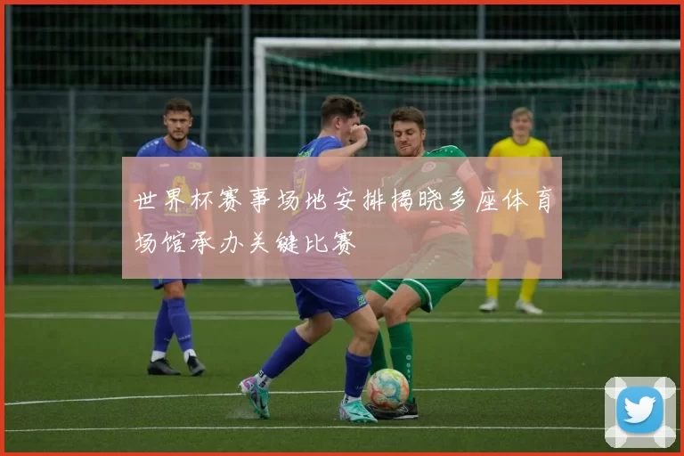 世界杯赛事场地安排揭晓多座体育场馆承办关键比赛