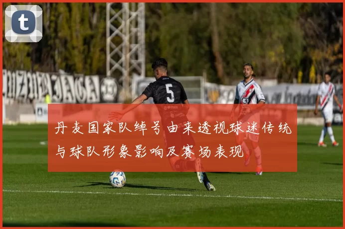 丹麦国家队绰号由来透视球迷传统与球队形象影响及赛场表现