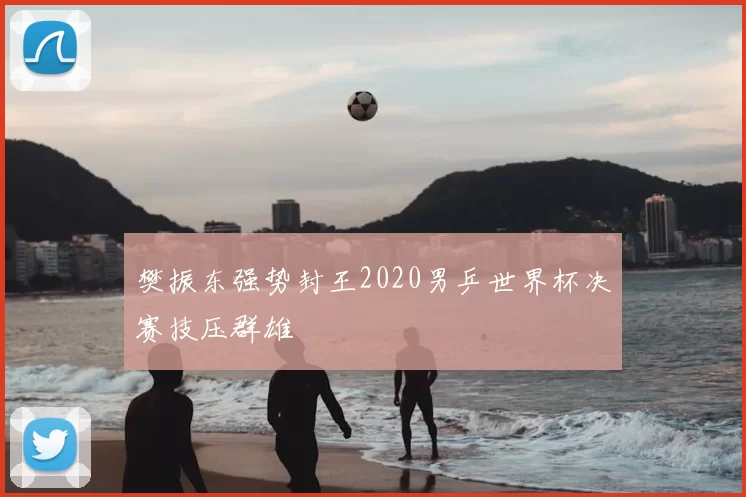 樊振东强势封王2020男乒世界杯决赛技压群雄