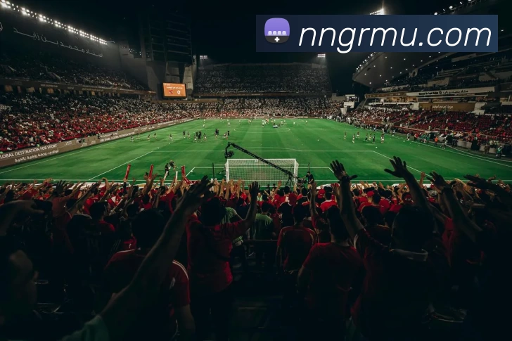 mk体育网址APP 封面图